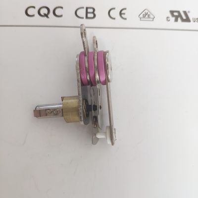 Pressa a vapore elettrica con termostato meccanico regolabile 50-250
