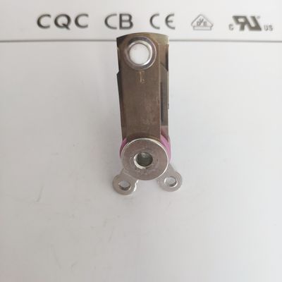 Pressa a vapore elettrica con termostato meccanico regolabile 50-250